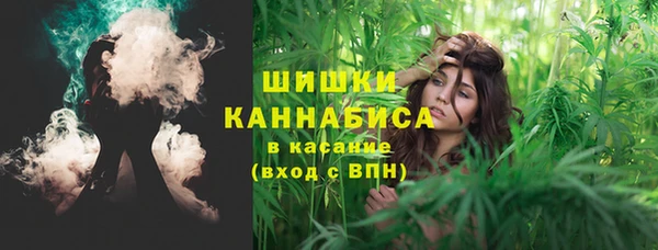 PSILOCYBIN Кинешма
