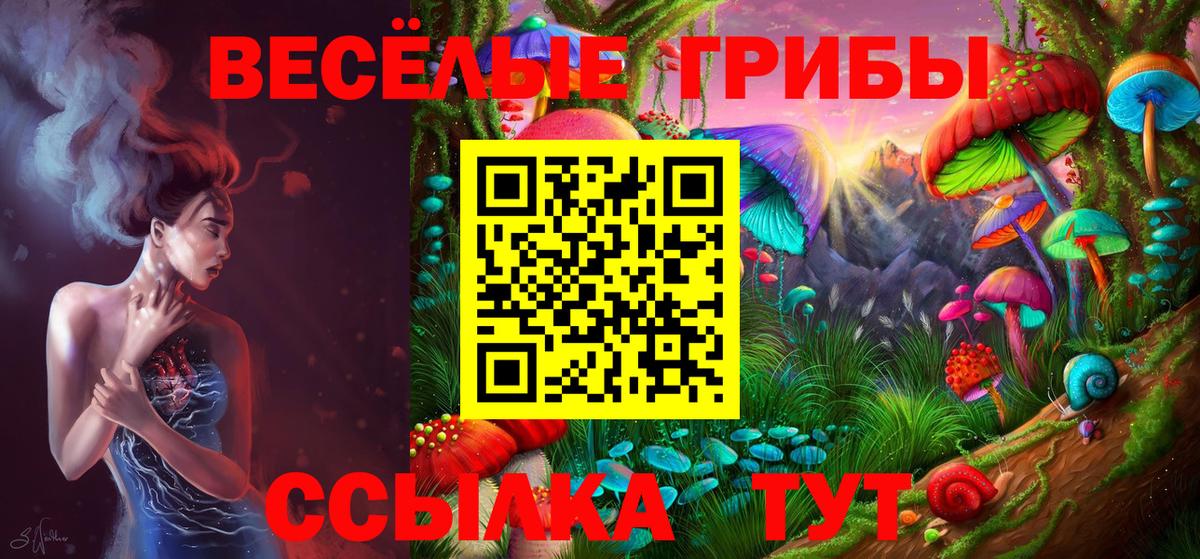 продажа наркотиков  Псилоцибиновые грибы ЛСД  Котлас  Вход с VPN  Псилоцибиновые грибы мухоморы 