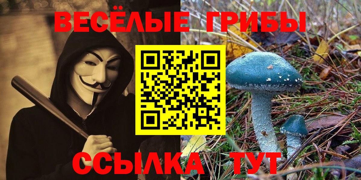 Галлюциногенные грибы мухоморы Котлас